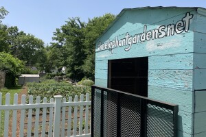 Elephant Gardens.jpg