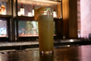 P1055186.JPG
