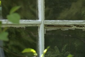 hoarding house 3.jpg