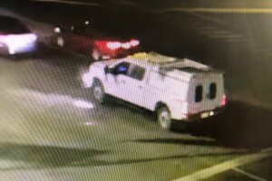 HIT AND RUN 1.jpg