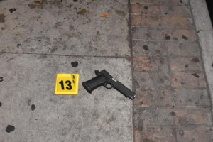 alleged-firearm-gun-waddy.png
