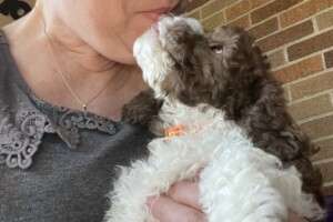 Celeste & Maverick