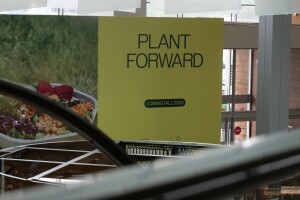 sweetgreenpromo.jpg