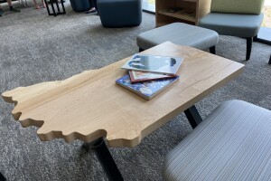 Indiana table2.JPG