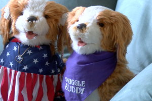 Robotic dogs