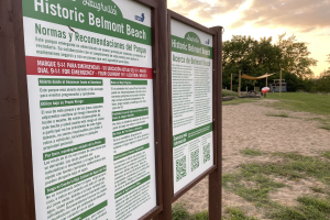Belmont Beach.png