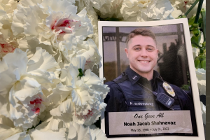 Noah Shahnavaz carnation