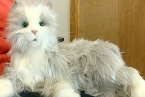 Animatronic pets help those with memory loss