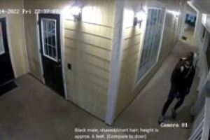 Wayne Twp arson suspect
