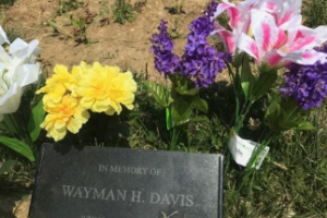 waymanflowers.jpg