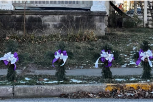 flora fire new crosses 2022.PNG