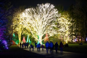 winterlights.jpg