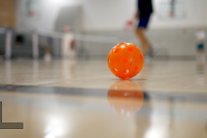 greenwood fieldhouse pickleball.png