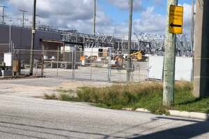 An iguana caused a "large-scale' power outage on Dec. 7, 2022, at the Sixth Avenue substation in Lake Worth Beach.