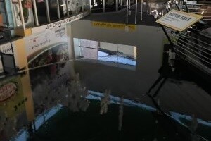 flood3.jpg