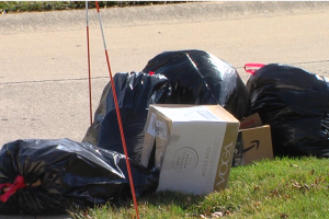 WASTE MANAGEMENT TRASH 2.PNG