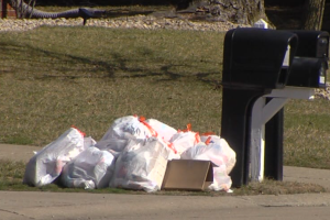 waste management trash.PNG