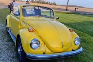 DianeKuhnsYellowBUG.jpg