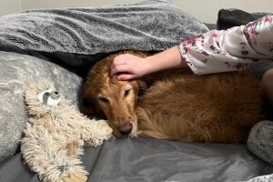 Gunner_sleep.jpg