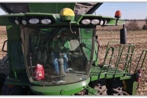 Family Farm 5.JPG