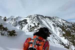 ullr in mountains_Jacob Dalbey