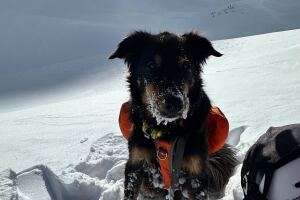 Jacob Dalbey_Ullr