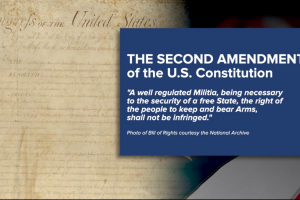 2nd Amendment: The right to keep and bear Arms