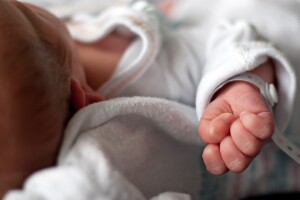 Newborn Baby Hand