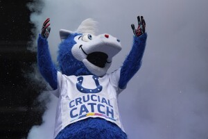 Bengals Colts Football