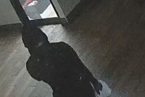 Wendys1.jpeg