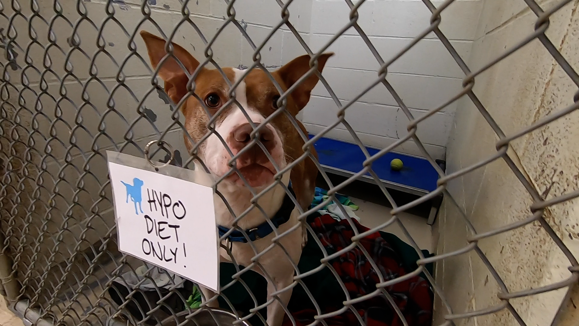 IndyHumane Pet Resourcce Center.png