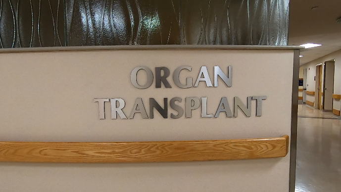 organ transplant.PNG