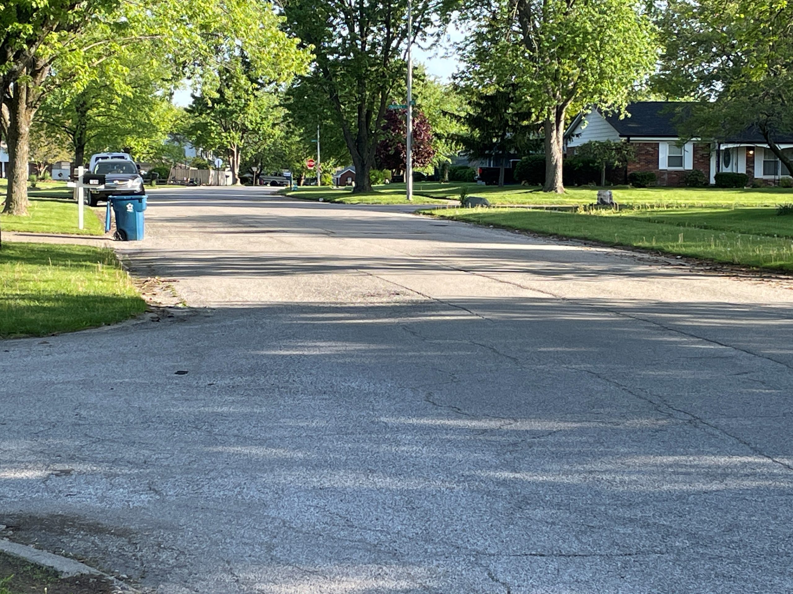 Woman killed in dog attack Forsythia Drive.jpg