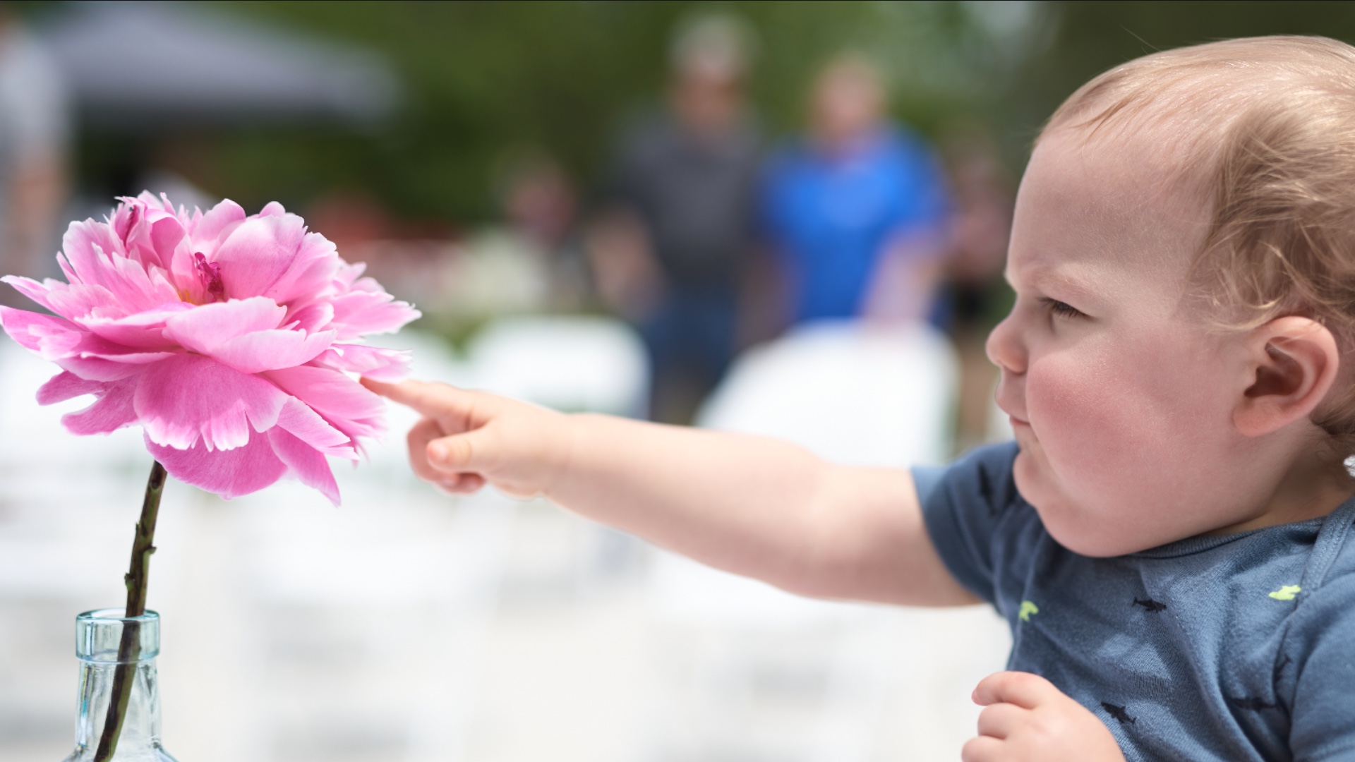 Indiana Peony Festival