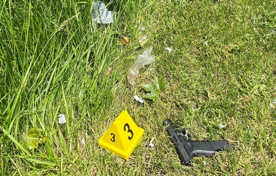 gun from scene.jpg