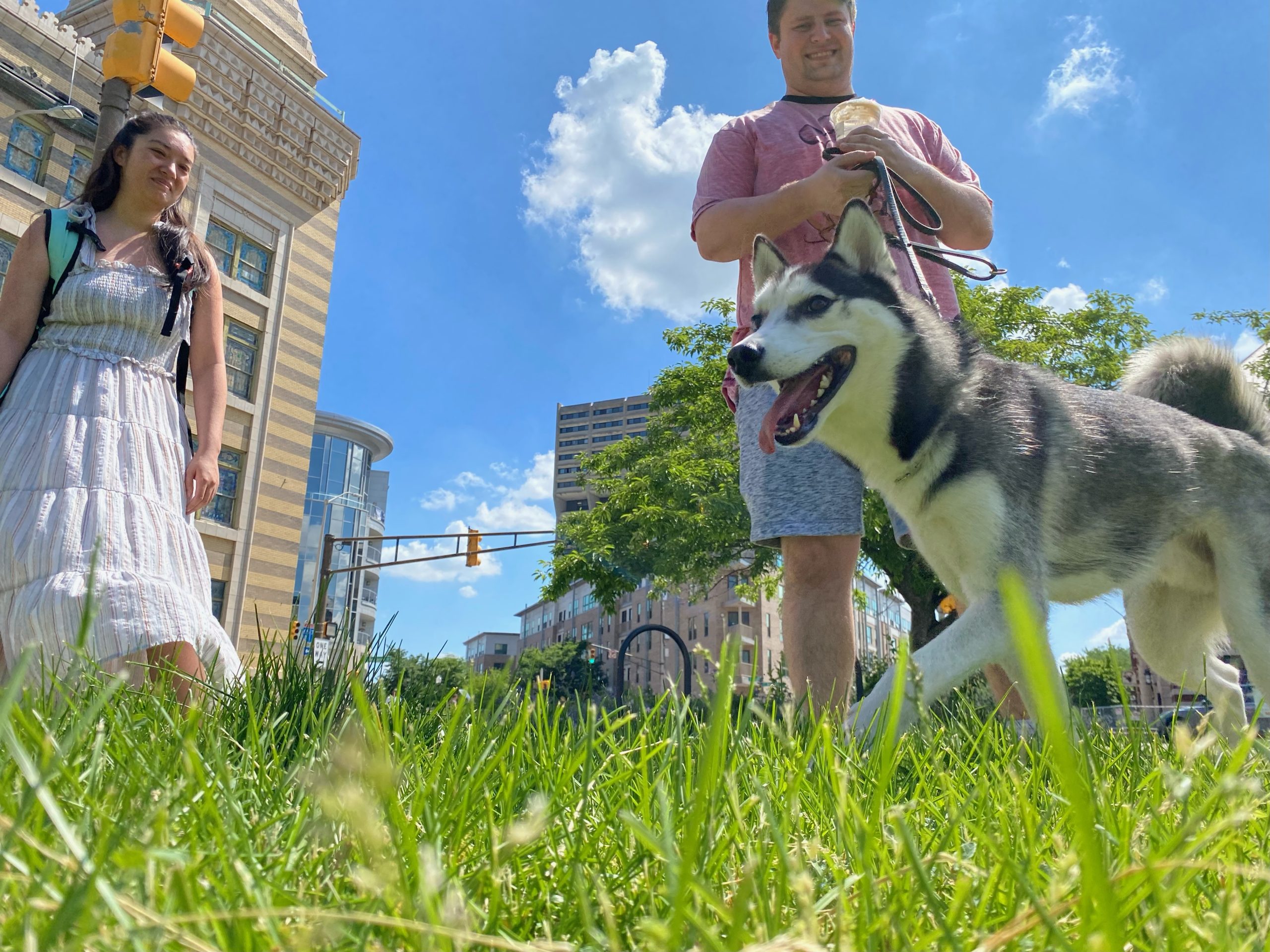 dog owners downtown indy 