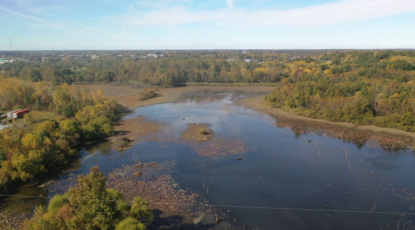 Indiana Wetlands.JPG