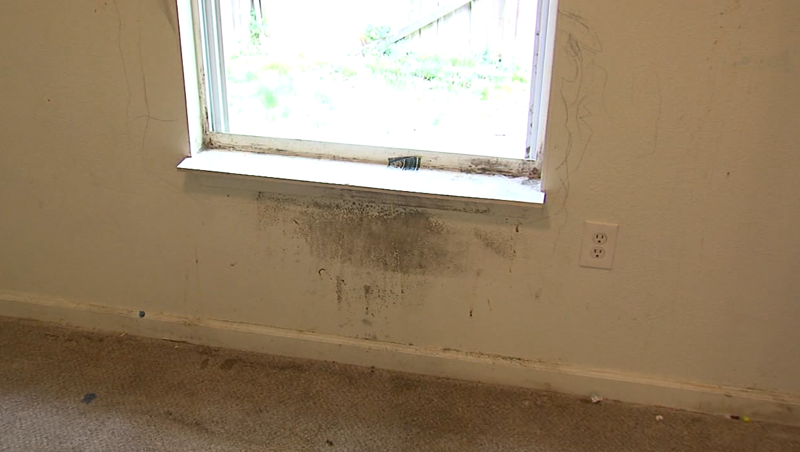 mold.PNG