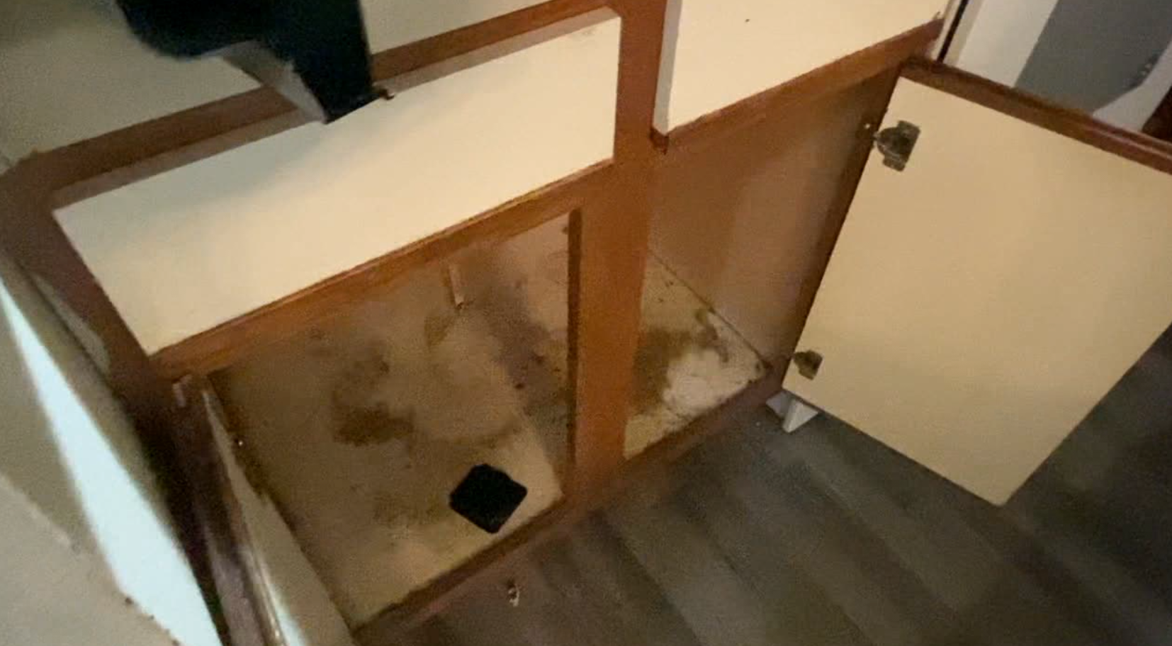 mold2.PNG