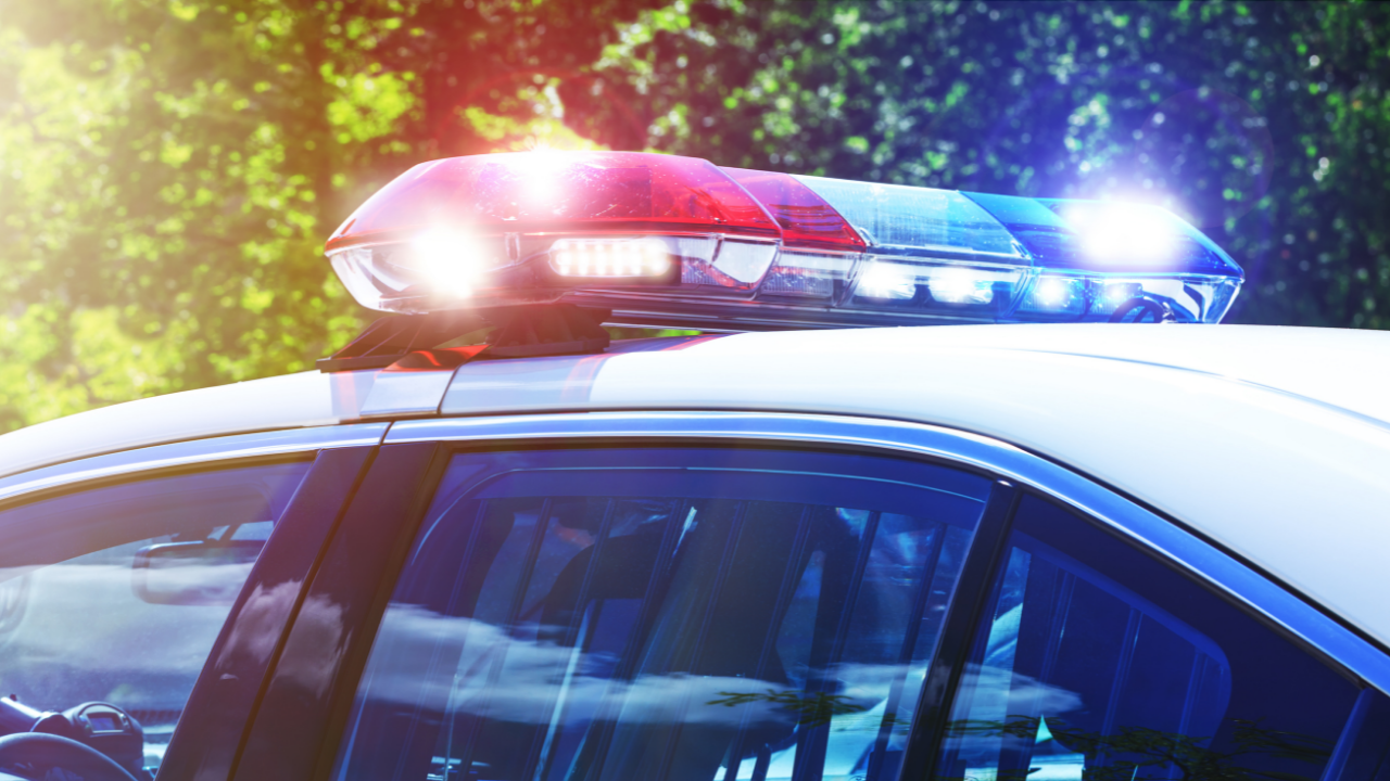 Police Lights (FILE)