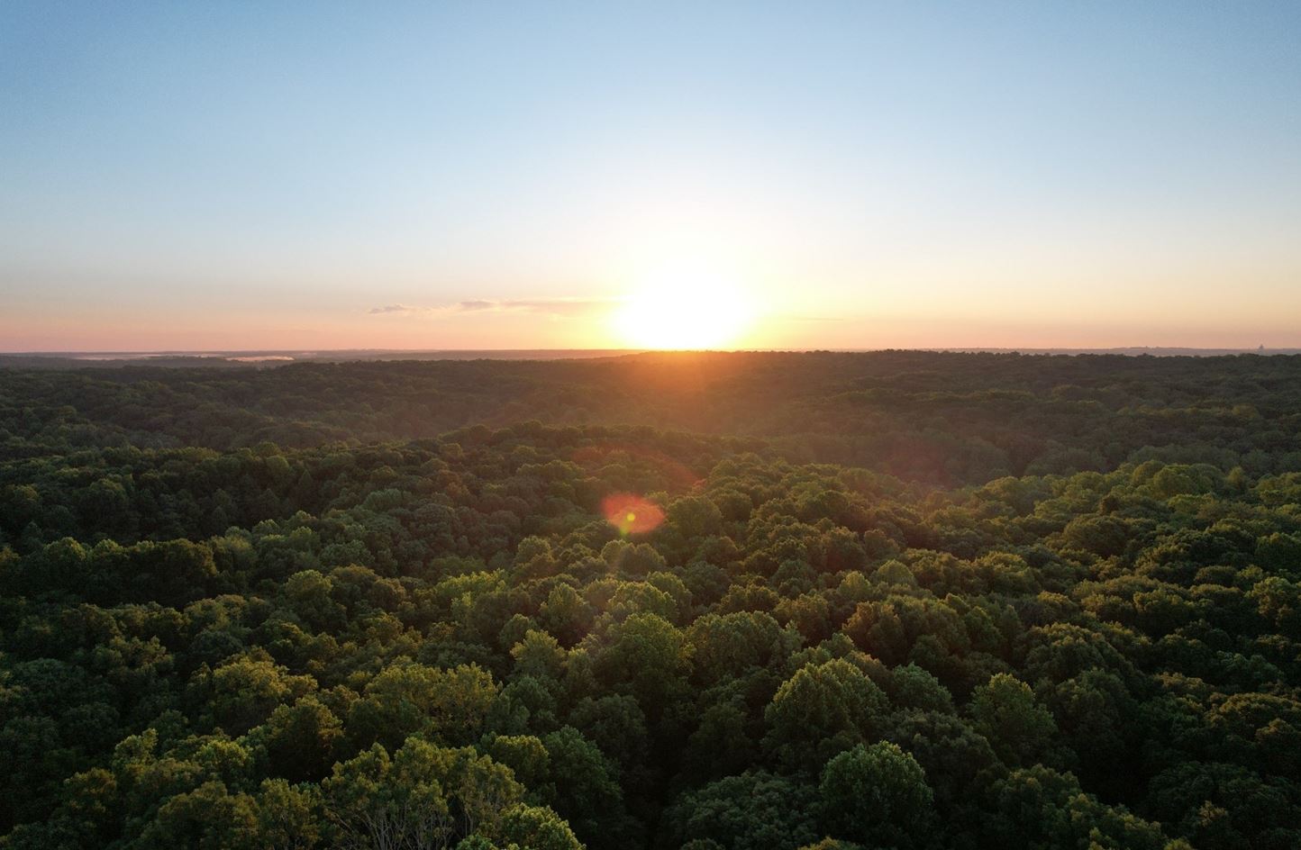 nature preserve.JPG