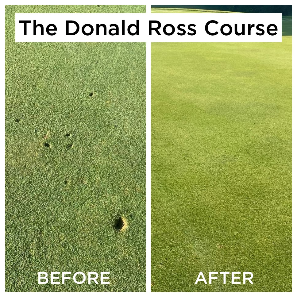 donald ross BA.jpg