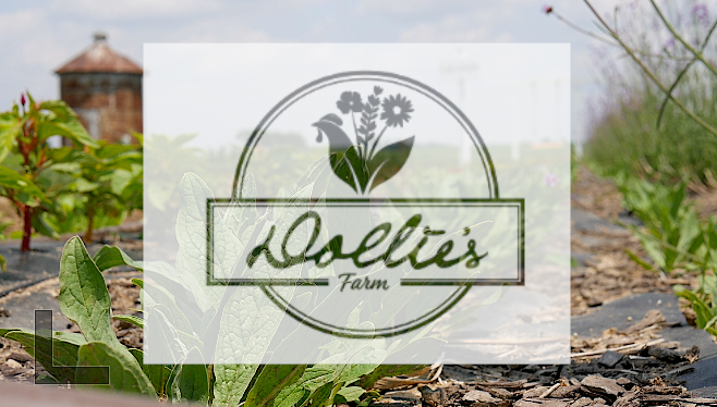 Dollie's Farm logo 