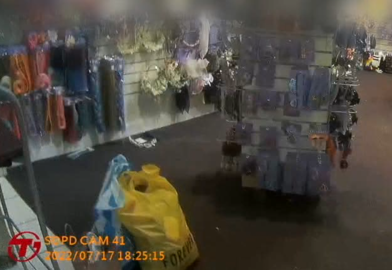 Greenwood Mall Bodycam (11).png