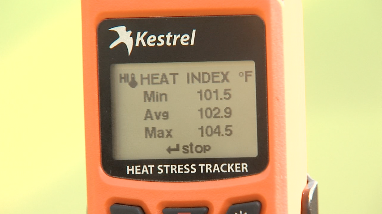 thermometer 