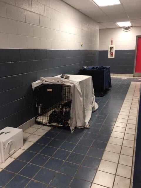 CratesInHallways.jpg