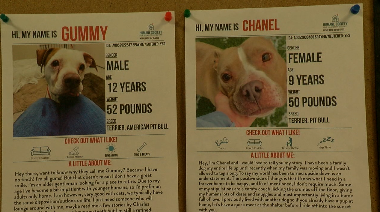 humane2.PNG