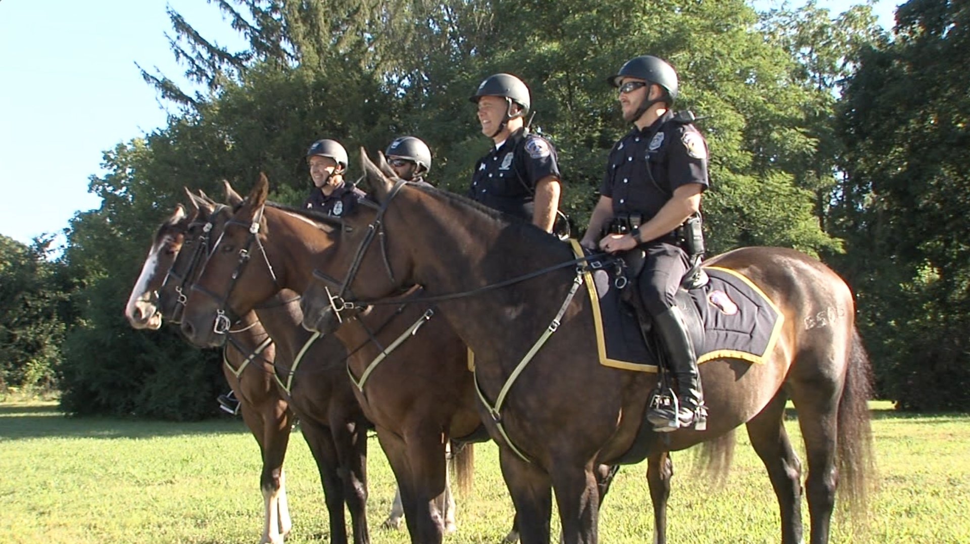 Mounted Patrol.png