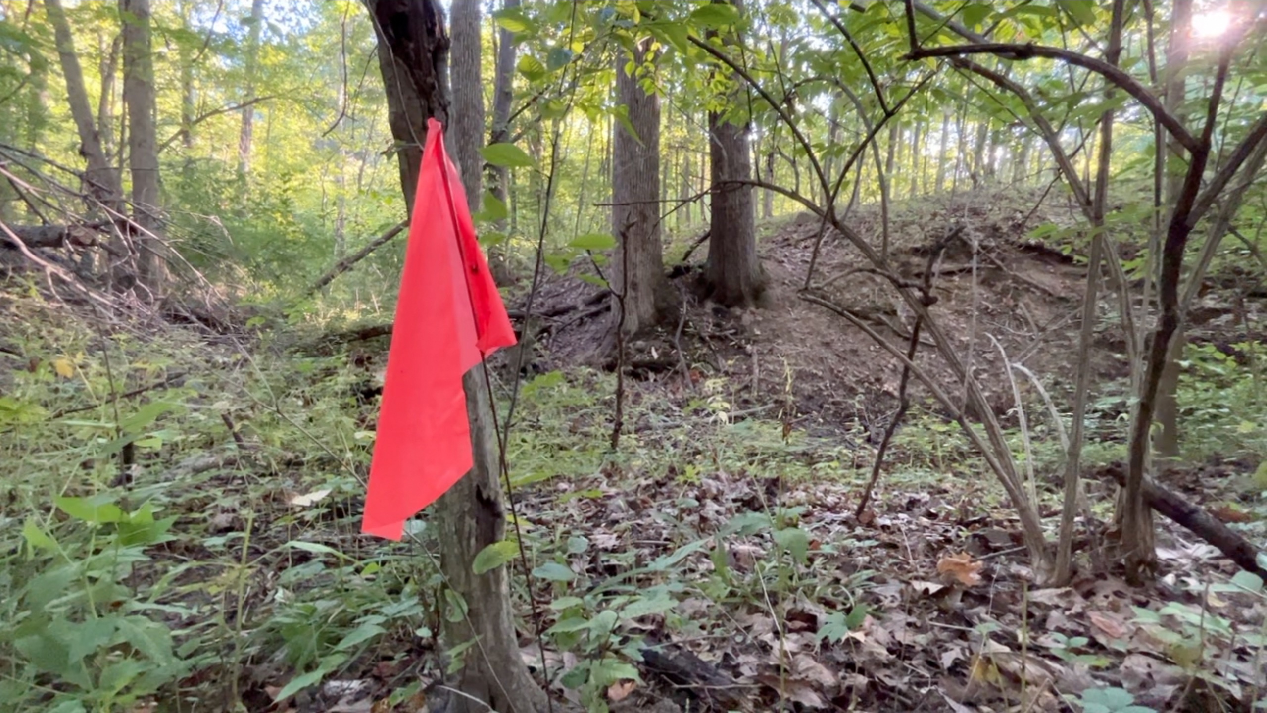 evidence marker.jpg