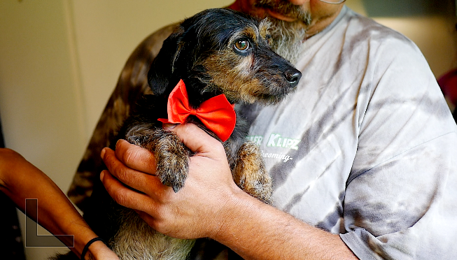 George gets a bow 